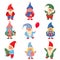 Cute Christmas Little Gnomes Collection.