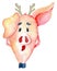 Cute Christmas pig Watercolor illustration