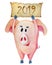 Cute Christmas pigs with banner 2019 Year Watercolor illustration