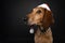 Cute Christmas portrait of a brown dog wearing a santa hat.