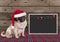 Cute Christmas pug puppy dog with santa hat and blackboard on wooden background