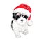 Cute Christmas puppy dog with santa hat illustration. hand drawn colored pencil art