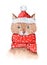 Cute Christmas watercolor lynx in scarf and hat