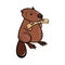 Cute chubby cartoon beaver, little kawaii mascot character. Isolated vector clip art illustration.