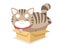 Cute chubby cat sitting box cartoon illustration
