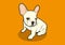 Cute Chubby French Bulldog and His Adorable Rabbit Ears in Orange Color Background.