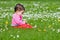 Cute chubby toddler looking at a daisy flower curiously exploring nature outdoors in the park