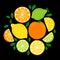 Cute Citrus Delight Fruits Lemon, Lime and Orange background in vivid tasty colors