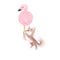 Cute clipart hand drawn illustration.  Chihuahua puppy flying on pink meringue cookie flamingo shape
