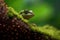 Cute close-up of a Green Gecko in a tree trunk with moss in the forest. Amazing wildlife. Generative Ai