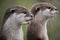 Cute close up portrait of a pair of two Asian or Oriental small