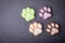 Cute colored paw shape soap on dark dark background. Dark background