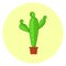 Cute colorful cacti icon, bright cactus in a pot