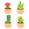 Cute and colorful cactus pot