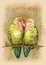 Cute colorful card in retro style. Beautiful lovebirds parrots