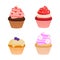 Cute colorful cream cupcakes of different taste and color.