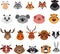 Cute colorful exotic animals collection