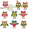 Cute colorful owls collection
