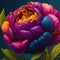 Cute Colorful peony. Portrait of a flower