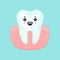 Cute colorful tooth in gum vector illustration with happy emotion