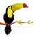 Cute colorful toucan sitting on a tree branch