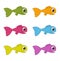 Cute coloured fish swimming in their environment on a white background - vector