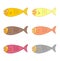 Cute coloured fish swimming in their environment on a white background - vector