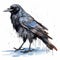 Cute Comic Drawing Of Crow In Realistic Impressionism Style