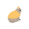 Cute comic groundhog in yellow crown and blanket flat style, vector illustration