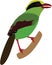 Cute Common Green Magpie vector