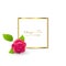 Cute Congratulation Postcard with Rose Bloom Bud