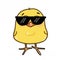 Cute cool yellow chick sunglasses drawing illustration white background