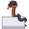 Cute copperbelly water snake cartoon with blank sign