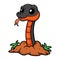 Cute copperbelly water snake cartoon out from hole