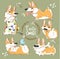 Cute Corgi Dog Character Cartoon Vector Set. Funny Short Fox Pet Group Smile, Play with Ball and Bone. Cheerful Happy