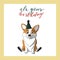 Cute corgi dog in cone birthday hat. hand lettering its your birthday. holiday greeting card template