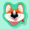 Cute corgi dog portrait. funny puppy face. vector sticker