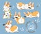 Cute Corgi Dog Puppy Play Vector Set. Funny Fox Pet Character Collection. Awesome Happy Brown Doggy Isolated on Blue