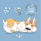 Cute Corgi Dog Puppy Sleep Vector Banner. Welsh Short Fox Pet Character Rest Pose Poster. Little Cheerful Brown Doggy