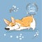 Cute Corgi Dog Puppy Sniff Vector Illustration. Funny Fox Pet Character Flower Poster. Awesome Happy Brown Doggy Series