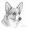 Cute Corgi Dog Sketch Coloring Page - Artistic Canine Illustration