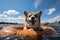 Cute corgi dog swims on an inflatable ring in clear lake water