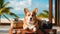 Cute corgi dog wearing sunglasses and sitting on travel suitcase and waiting for a trip. Pet travel concept