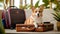 Cute corgi dog wearing sunglasses and sitting on travel suitcase and waiting for a trip. Pet travel concept