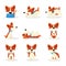 Cute corgi dogs color vector illustrations set