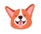 Cute corgi face with tongue out. Funny dogs head. Happy canine animal portrait. Adorable smiley pets muzzle. Sweet