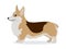 Cute corgi icon, small playful dog with short paws isolated, domestic animal, pet, vector illustration