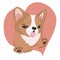 Cute Corgi Puppy With Tongue Out Cartoon Vector Illustration