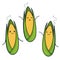 Cute corn characters.