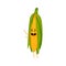Cute corn cob cartoon character